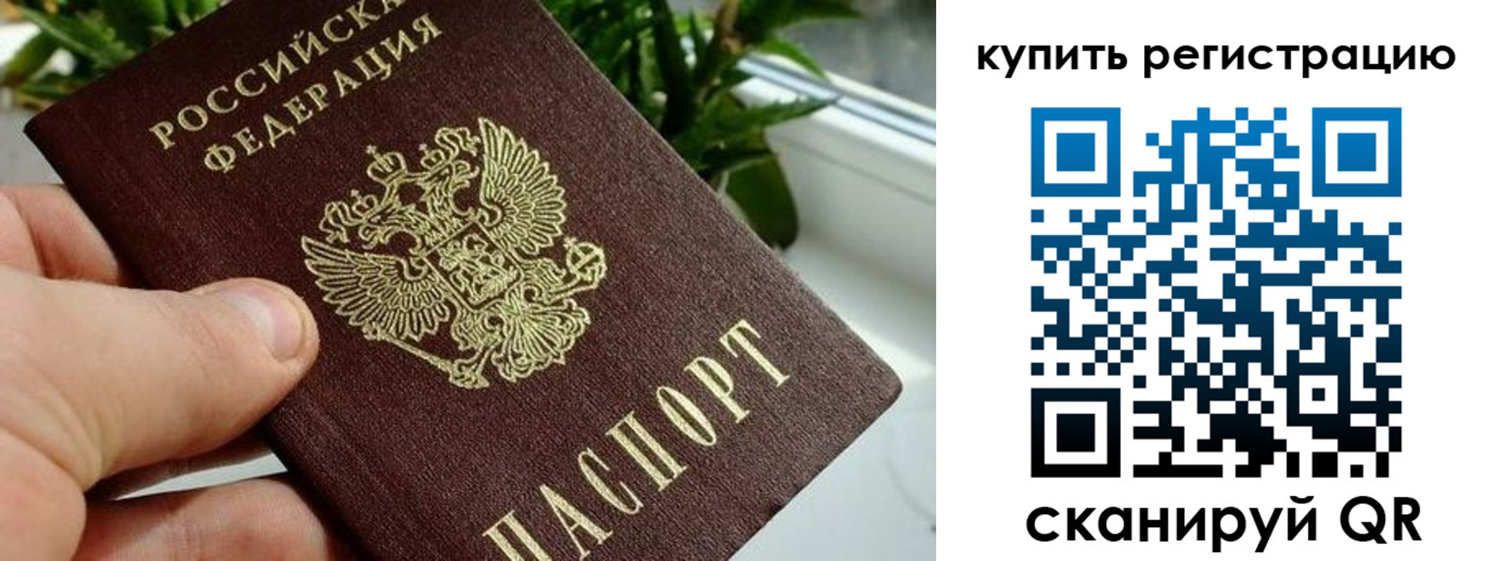 прописка гарантия в Протвино